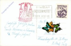 ak213463a Mariazell, Multiansicht