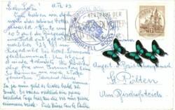 Mariazell, Bürgeralpe