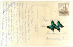 Mariazell, Pension Alpenhof