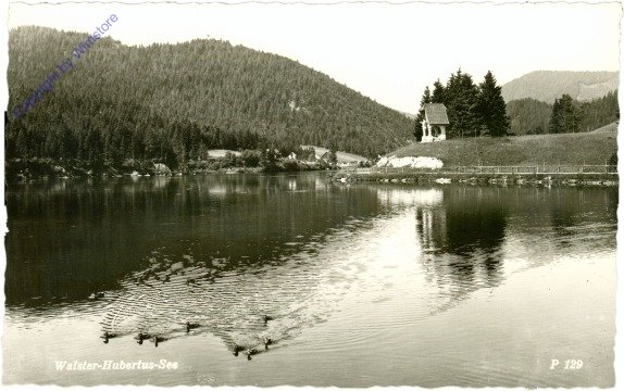 ak213506 Mariazell, Walster-Hubertus-See