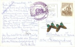 Mariazell, Bürgeralpe