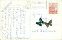 ak213536a Mariazell, Multiansicht