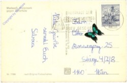 Mariazell, gegen Zellerhüte