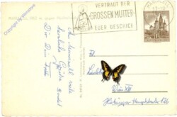 Mariazell, gegen Hochschwab