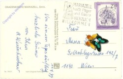 Mariazell, Basilika