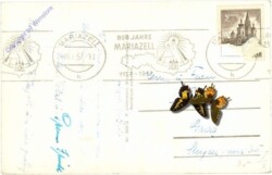 Mariazell, mit Tonion