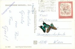 Mariazell, Basilika