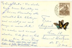 ak213650a Neuberg, Ortsansicht