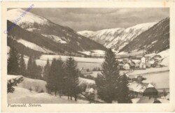 Pusterwald, Ortsansicht