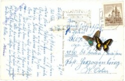 Ramsau, Blick von der Hochwurzen