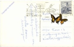 Rettenegg, Karlbauer