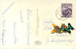 Schladming, Hochwurzen, Parkplatz der Bergstrasse mit Hochwurzenhütte