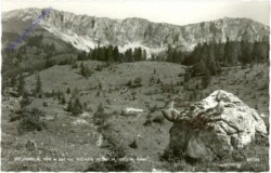 ak213769 St. Barbara im Mürztal, Brunnalm auf der Hohen Veitsch