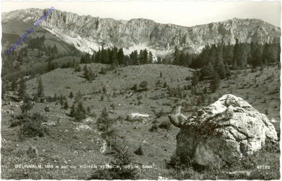 ak213769 St. Barbara im Mürztal, Brunnalm auf der Hohen Veitsch