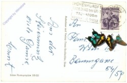 St. Radegund, Multiansicht