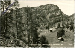 Tauplitz, Tauplitzalm, Pension Wilhelm u. Alpengasthaus Hierzegger mit Lawinenstein