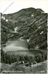 Tauplitz, Steirersee