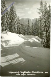 Tauplitz, Alpenstrasse, Blick gegen Grimming