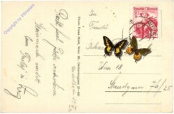 ak213847a Weichselboden, Zellerstaritzen