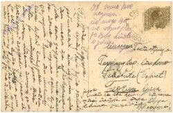 ak213885a Paar am Waldrand