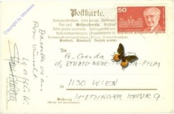 Gehör