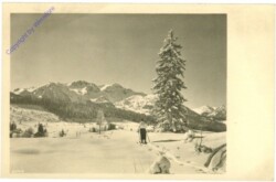 ak213984 Skilanglauf