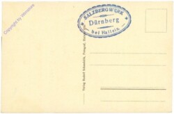Dürrnberg, Salzbergwerk, Multiansicht