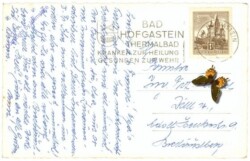 Bad Hofgastein, Wintersportort