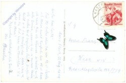 Bergheim, Maria Plain