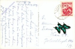 Bergheim, Maria Plain