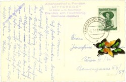 ak214158a Dienten, Alpengasthof und Pension Mitteregg