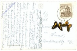 Dienten, Ansicht