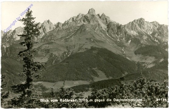 Filzmoos, Blick vom Rossbrand gegen die Dachsteingruppe