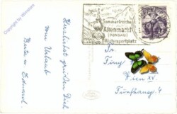 Filzmoos, Blick vom Rossbrand gegen die Dachsteingruppe