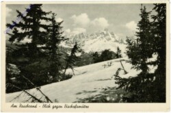 Filzmoos, Am Rossbrand, Blick gegen Bischofsmütze