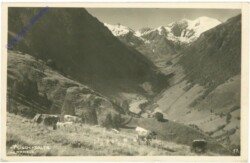 Fusch an der Großglocknerstraße, Almfriede