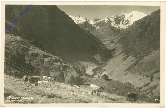 Fusch an der Großglocknerstraße, Almfriede