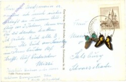 Großgmain, Kneip-Kurort