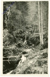 ak214243 Kaprun, Weg zum Kesselfall