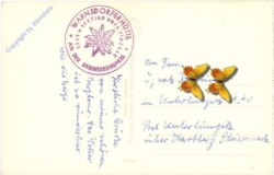 Krimml, Warnsdorferhütte u. Dreiherrenspitze am Krimmlerkees