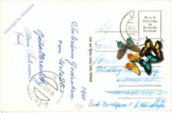 Lofer, mit den Steinbergen