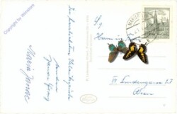 Mariapfarr, gegen Hochgolling