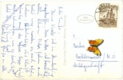 ak214309a Mattsee, Ortsansicht