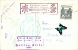 Radstädter Tauern, Dachsteinblick v.d. Hirschwand
