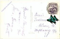 Radstädter Tauern, Bergstation d. Grünwaldkopfliftes