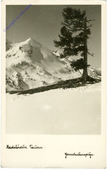 Radstädter Tauern, Ansicht