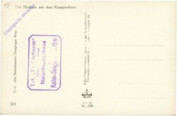 ak214400a Rauris, Hoher Aar