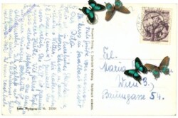 Saalbach-Hinterglemm, Tristkogel, Saalkogel und Staffkogel von Hinter-Lengau