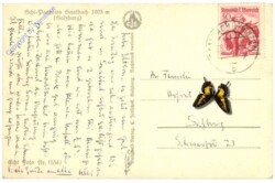 Saalbach-Hinterglemm, Reichkendal, Spieleckkamm g. Gaisstein