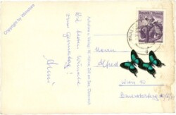 Saalbach-Hinterglemm, Mitterlengau mit Staffkogel